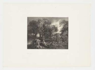 Waldlandschaft, Blatt 44 der Folge "Werke"