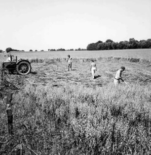 Mord an Brigitte Wetzenstein-Ollenschläger: Bundesautobahn A 1 bei Reinfeld: Leichenfundort im Graben neben Seitenstreifen am 19. August 1972: links Trecker nach Mähen eines Teils des Grases und des angrenzenden Getreidefeldes: rechts drei Männer bei der Spurensuche: hinten Bäume
