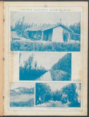Del sur argentino: Allem (Río Negro)