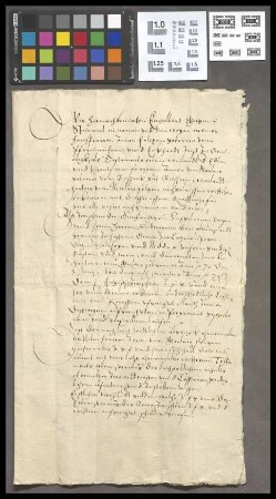 Brauerschwend: Kaufbrief über den Hof zu Brauerschwend