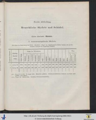 Zweite Abtheilung. Menschliche Skelette und Schädel.