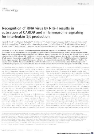 Recognition of RNA virus by RIG-I results in activation of CARD9 and inflammasome signaling for interleukin 1-beta production