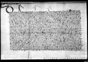 Der Hofrichter zu Rottweil gebietet den Pfalzgrafen Ludwig und Otto, dem Markgrafen Bernhard von Baden, der Gräfin Henriette und den Grafen Ludwig I. und Ulrich V., den Grafen Eitelfritz von Zollern in den ihm von Volkart von Ow abgetretenen Rechten auf die Güter des Grafen Friedrich d. Ä. zu schirmen.