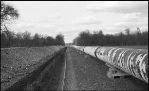 Niederlauterbach: Pipeline-Verlegung im Bienwald bei Niederlauterbach nach Karlsruhe