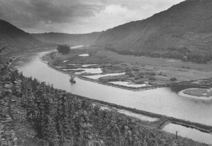Mosel vor Staustufenbau bei Lehmen