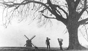 Leipzig-Rückmarsdorf. Blick zum Turmholländer, aus: Der Leipziger vom 14.3.1908
