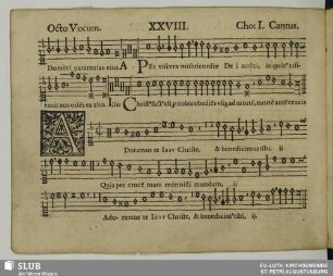 XXVIII. Adoramus te Jesu Christe