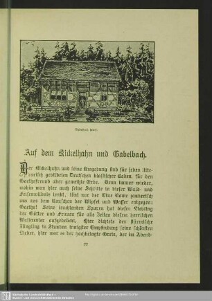 Auf dem Kickelhahn und Gabelbach
