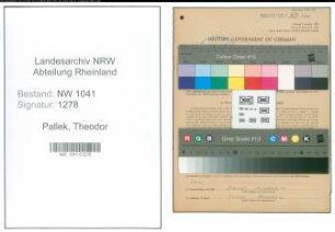 Entnazifizierung Theodor Pallek , geb. 06.11.1913 (Angestellter)