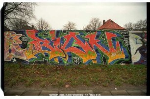 BiON | BASF MH "BioN1" HEAR MORAL DRE IRAK | 2001 | 4. GEKO FRAK