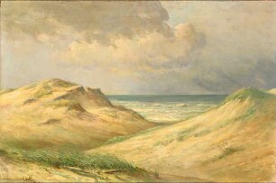 Dünenlandschaft