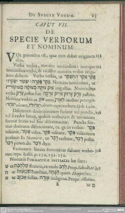 Caput VII. De Specie Verborum Et Nominum