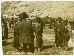 w. el-rar [wadi el-rar], zwischen Hebron + ain gedi