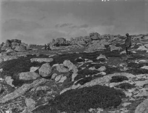 Erosionsformen auf dem Pico de Urbión : Blick über ein Geröllfeld