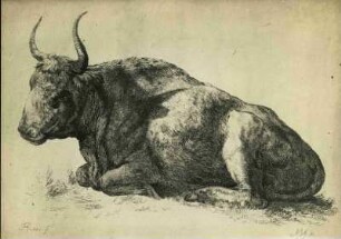 Roos, Joh. Heinrich Stier, liegend