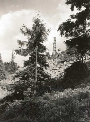 Erzgebirge. Kahleberg (905 m) mit Feuerschutzturm. Blick von Westen über den Blockhang mit Wetterfichten