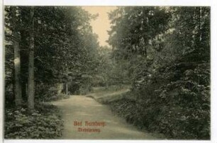 Bad Harzburg. Ministerweg