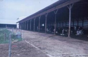 Fotografie: Liegehalle, Laufhof