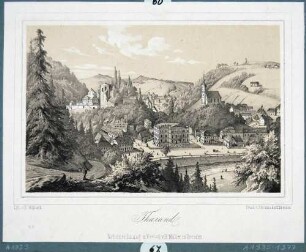 Blick über Tharandt mit der Stadt- und Bergkirche, der Burgruine und der Forstakademie