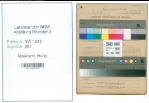 Entnazifizierung Hans Maiworm , geb. 12.04.1904 (Treuhaender)