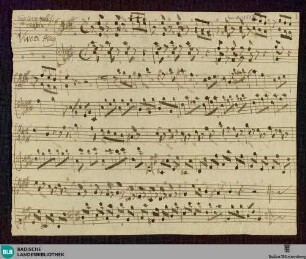 Vivace allegro - Don Mus.Ms. 1351|1 : cemb; E