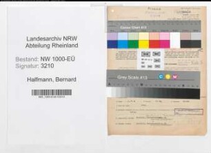 Entnazifizierung Bernard Halfmann, geb. 08.06.1901 (Finanzinspektor)