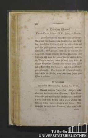 Gemeiner Kümmel. Carum carvi. Linn. Cl. V. Franz. le cumin.