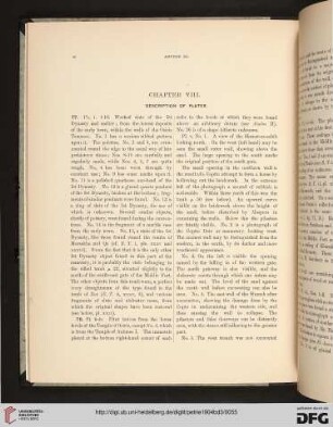 Chapter VIII. Description of Plates