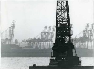 Hamburger Hafen : Verladekräne im Hamburger Hafen.