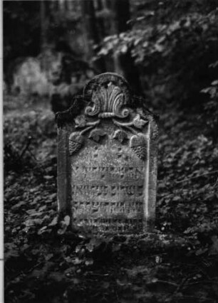 Grabstein 487 (Index: 99752890) Material: Sandstein Zustand: gut, Stele eingesunken Maße HxBxT: 75x44x8 cm Beschreibung: Stele, doppelt eingezogener Rundbogenabschluß, Schriftfeld eingetieft Symbolik: Muschel, Pinienzapfen an Zweigen mit Blätter: Grabstein 487 (Nachholaufnahme)
