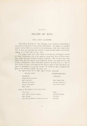 Plate X. Island of Java. The Lakon Gilingvesi