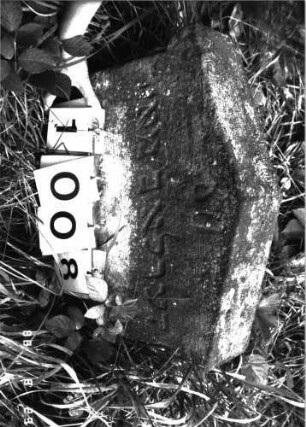 Grabstein 1008 (Index: 100099035) Maße HxBxT: 38x46x9 cm Besonderheit: Kindergrab: Grabstein 1008 (Detailaufnahme)