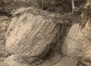 Oberlausitz. Der Eisenberg bei Guttau. Basaltklotz im östlichen Bruch
