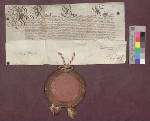 Kaiser Rudolf II. bestätigt die Freiheiten der Grafschaft Hauenstein.