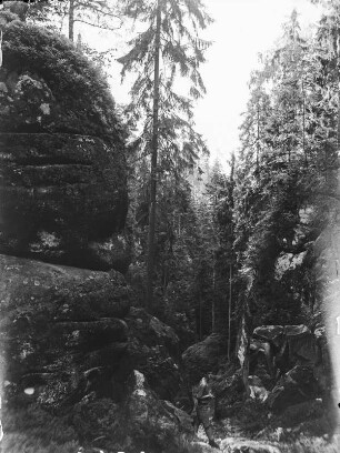 Sandsteinfelsen : Blick durch Sandsteinformationen in den Wald