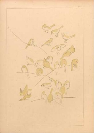 CCJ [Oiseaux, par Kitao Keisai Massayoshi]