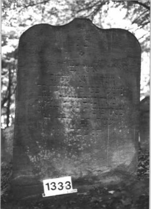 Grabstein 1333 (Index: 99900226) Material: Sandstein Zustand: angewittert Beschreibung: Stele mit Schulterbogenabschluss, im Bogenfeld und unter der Inschrift Ranken und Voluten Symbolik: Ranken, Voluten Besonderheit: keine Maßangaben: Grabstein 1333