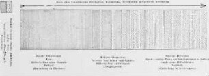 Ölführende Schichtenfolge, Normalschema (Blumer) : Geologie | Geologie des Erdöls