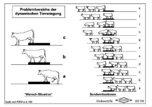 Problembereiche der dynamischen Tierwiegung (nach Peiper et al. 1993)