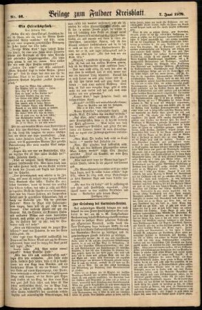Zweite Ausgabe vom Samstag, den 07. Juni 1879.