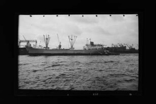 Anni Hugo Stinnes (1959), Hugo Stinnes, Hamburg