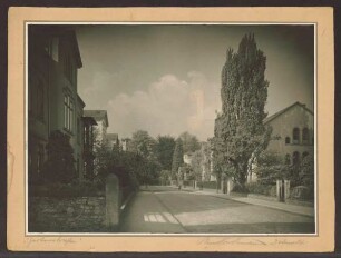Gartenstraße. Detmold. Blick vom Alten Postweg zum Palaisgarten