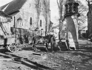 Cotta. Pferdetränke am Taubenschlag des Ritterguts Cotta