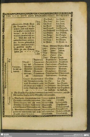 Tab. XXXI. Von Den Ablauffenden Wortern
