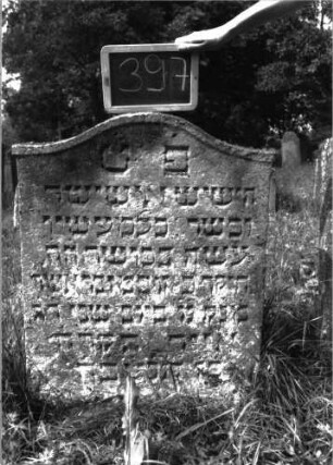 Grabstein 397 (Index: 100102403) Material: Sandstein Zustand: leicht verwittert Maße HxBxT: 91x69x11 cm Beschreibung: Stele, Konvexbogenabschluss mit Verdachung: Grabstein 397