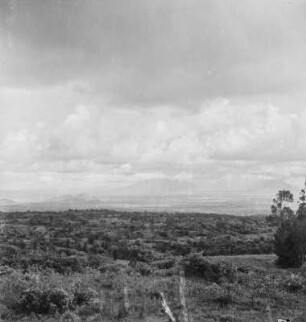 Landschaft : Blick von der Marangumissionsstation in Richtung des Kilimandscharo