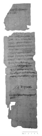 PKS2: Quittung über Getreidezuwendung an Festungssoldaten (Inv. 22316, Köln, Papyrussammlung)