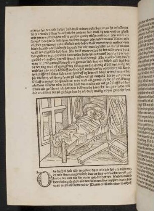 Der Zimmermann unter dem Bett seiner untreuen Frau; (Kapitel V: Von den Raben und den Aaren)