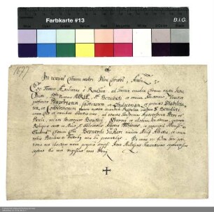 Profess des Frater Ämilian von Riedheim
