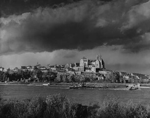 Archivfotografie "kaiserstuhl_breisach_3971"